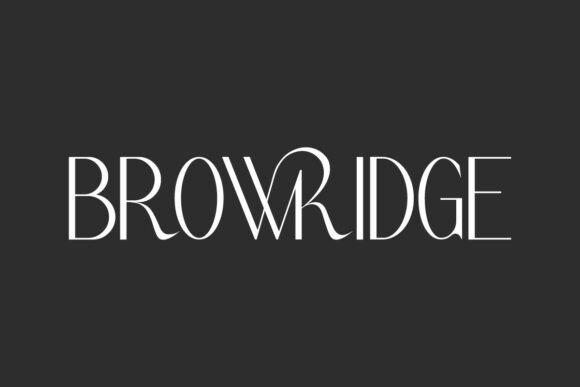 Mastering Visual Identity with Browridge: A Comprehensive Guide